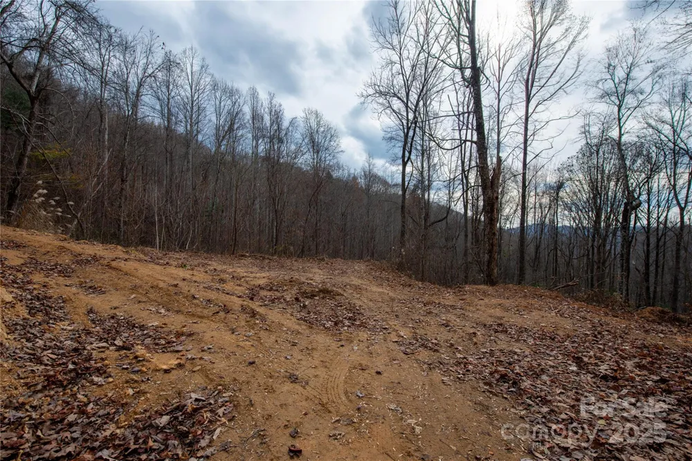 ### Grapevine Road Marshall, NC 28753