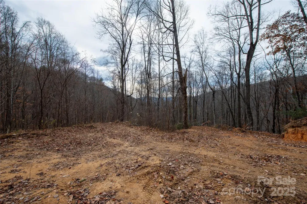 ### Grapevine Road Marshall, NC 28753