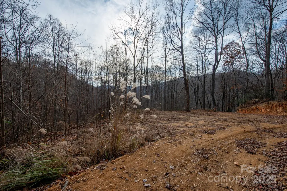 ### Grapevine Road Marshall, NC 28753