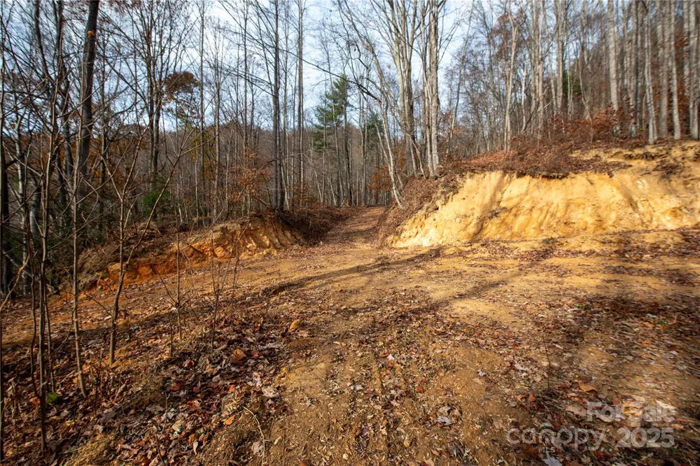 ### Grapevine Road Marshall, NC 28753