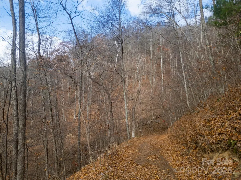 ### Grapevine Road Marshall, NC 28753