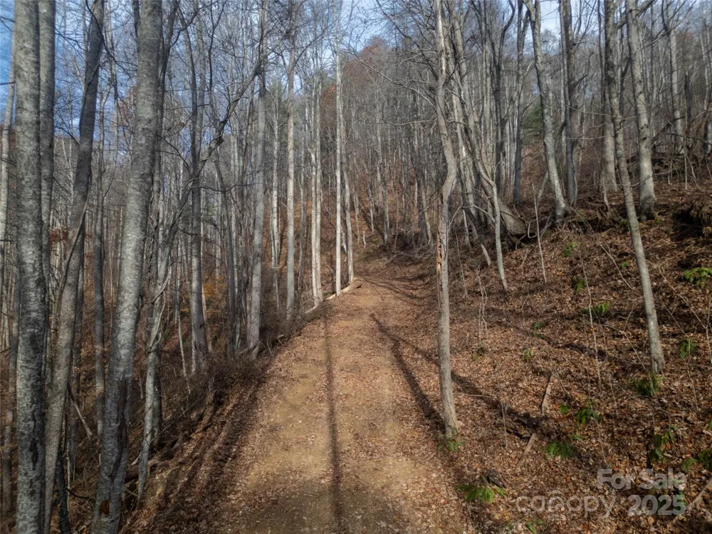 ### Grapevine Road Marshall, NC 28753