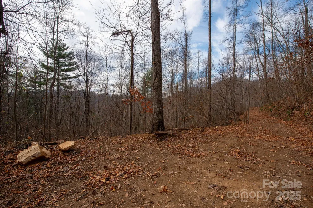 ### Grapevine Road Marshall, NC 28753