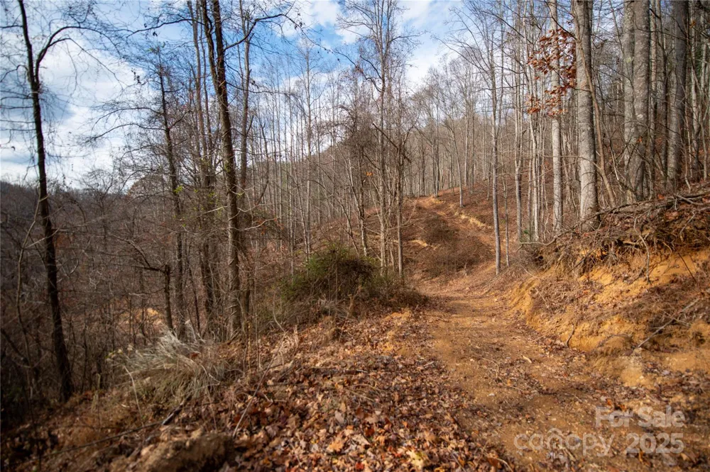 ### Grapevine Road Marshall, NC 28753
