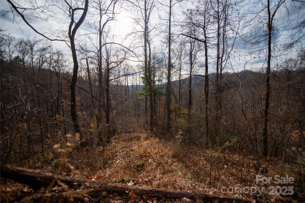 ### Grapevine Road Marshall, NC 28753