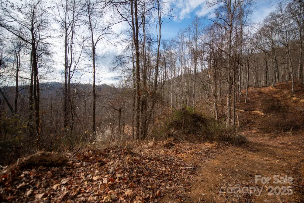 ### Grapevine Road Marshall, NC 28753