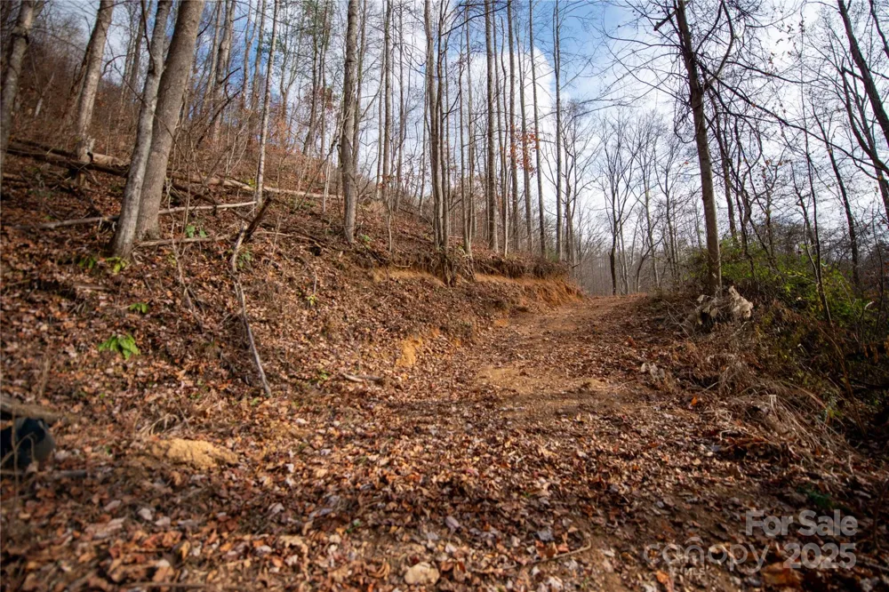 ### Grapevine Road Marshall, NC 28753
