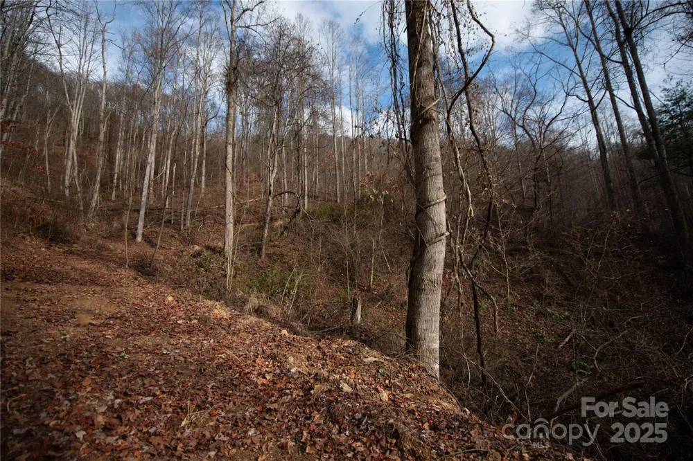 ### Grapevine Road Marshall, NC 28753