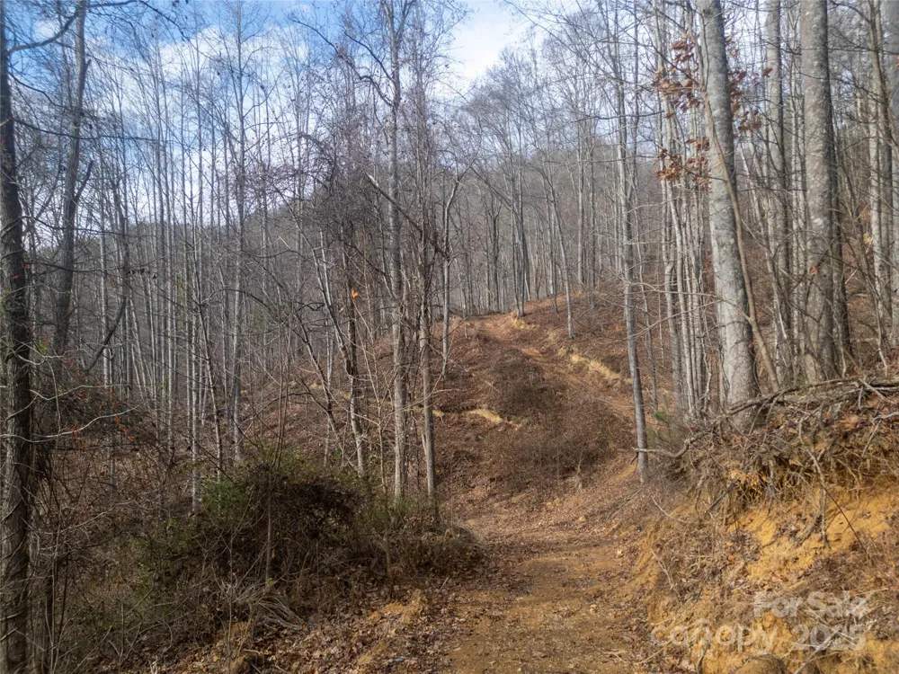 ### Grapevine Road Marshall, NC 28753