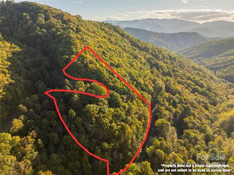 Lot 39 Brush Creek Mountain Road #39