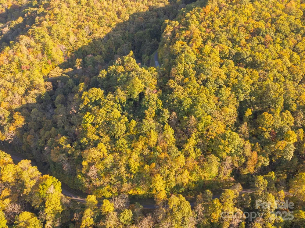Lot 39 Brush Creek Mountain Road #39 Bryson City, NC 28713