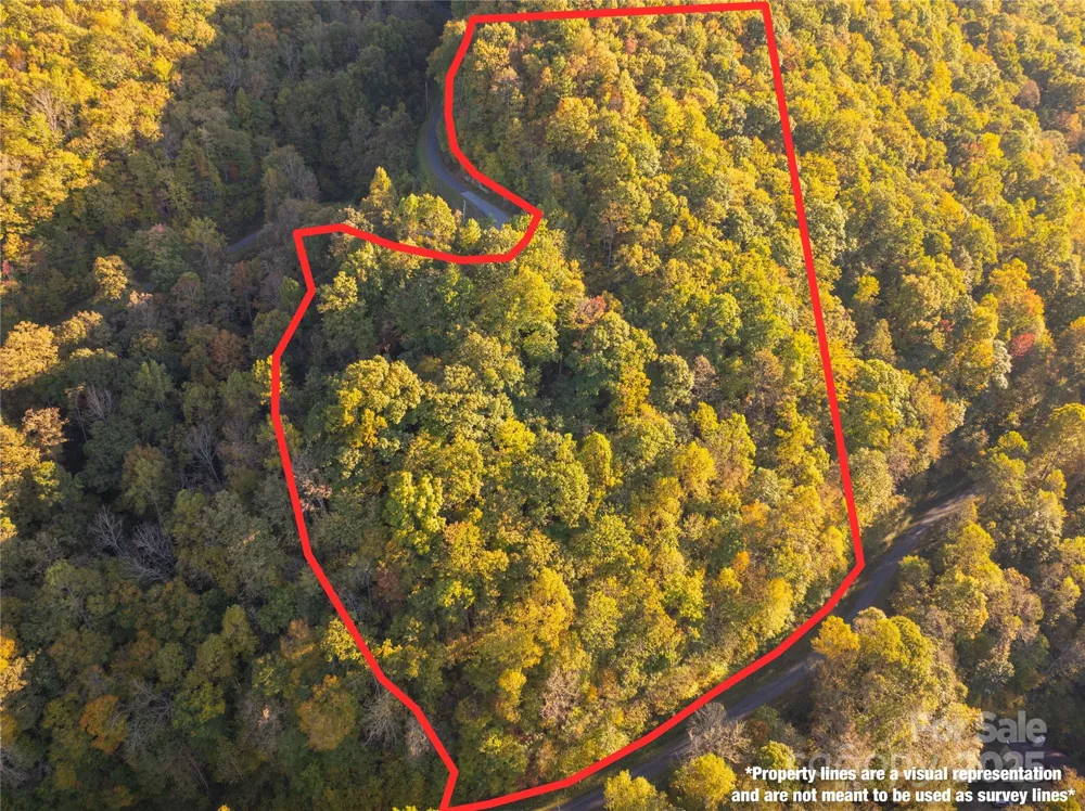 Lot 39 Brush Creek Mountain Road #39 Bryson City, NC 28713