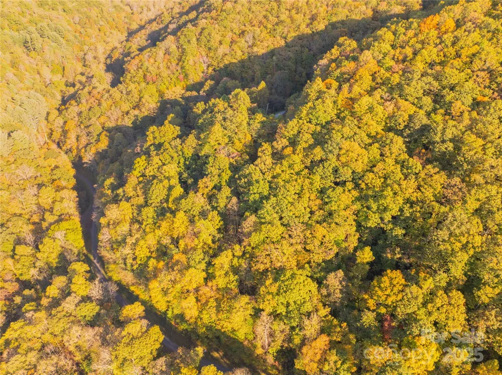 Lot 39 Brush Creek Mountain Road #39 Bryson City, NC 28713