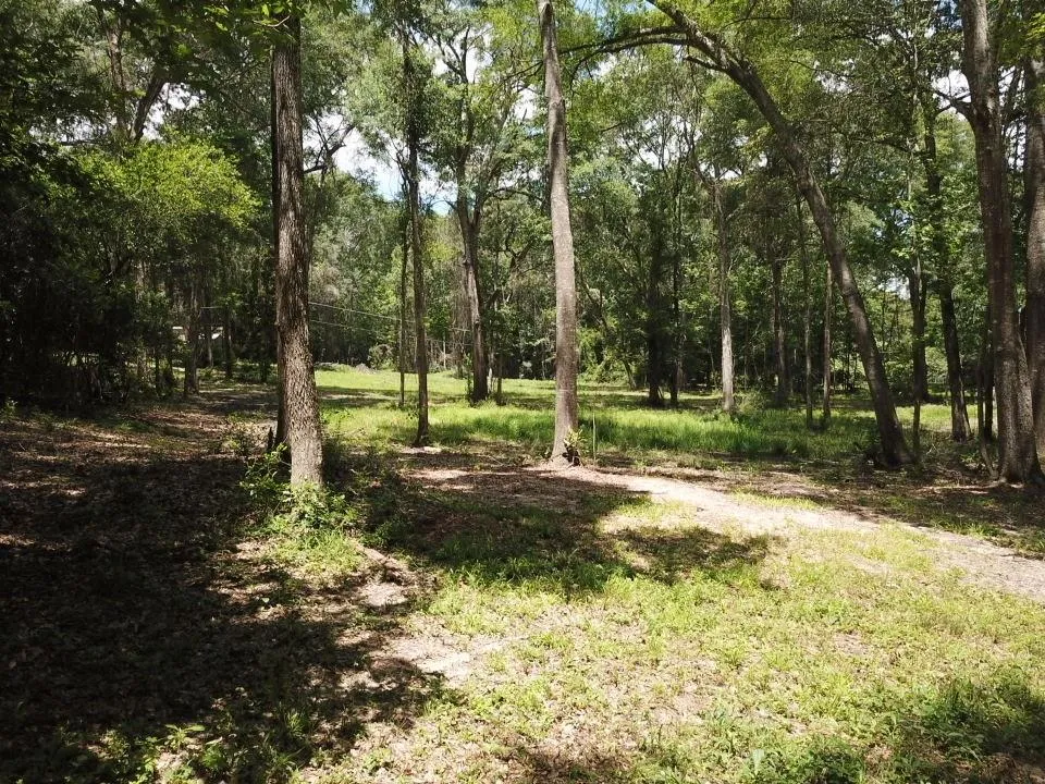 9 Hwy 69 N Woodville, TX 75979