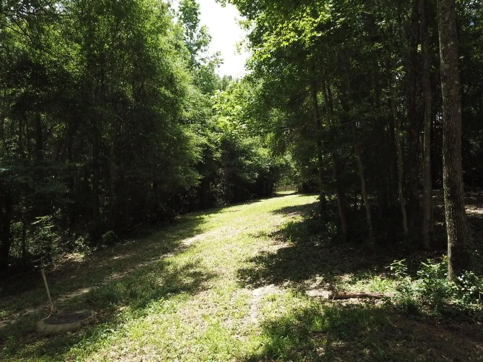 9 Hwy 69 N Woodville, TX 75979
