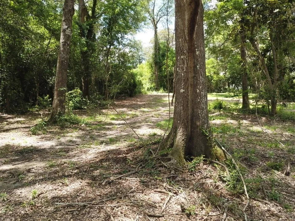 9 Hwy 69 N Woodville, TX 75979