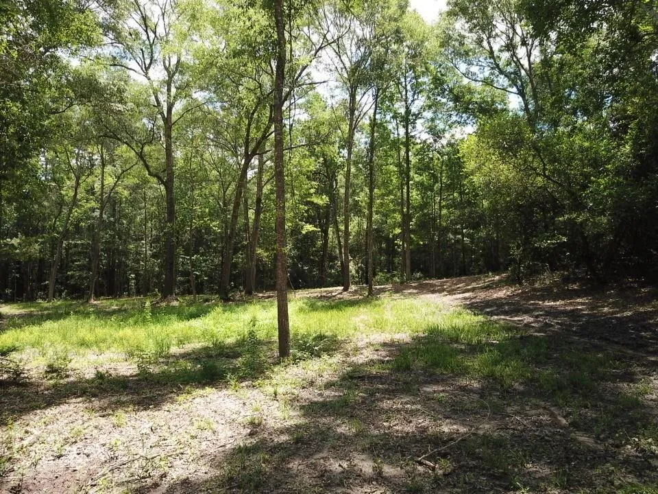 9 Hwy 69 N Woodville, TX 75979