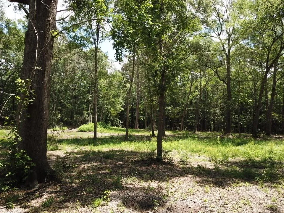 9 Hwy 69 N Woodville, TX 75979