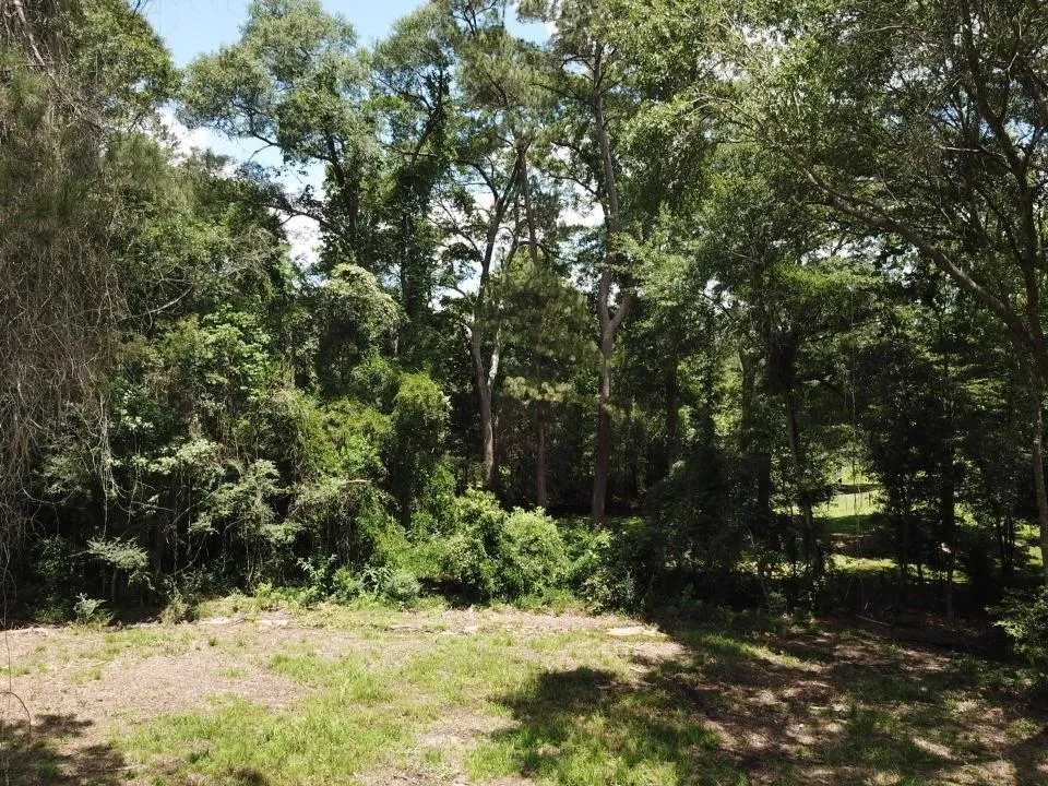 9 Hwy 69 N Woodville, TX 75979