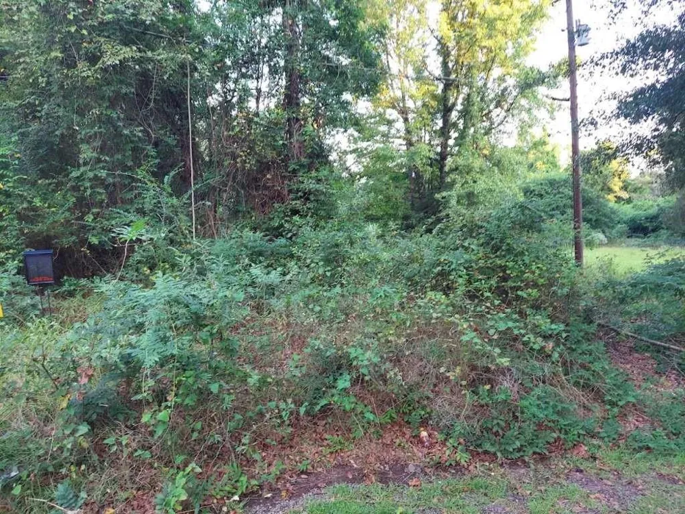 Pearson Street Avinger, TX 75630