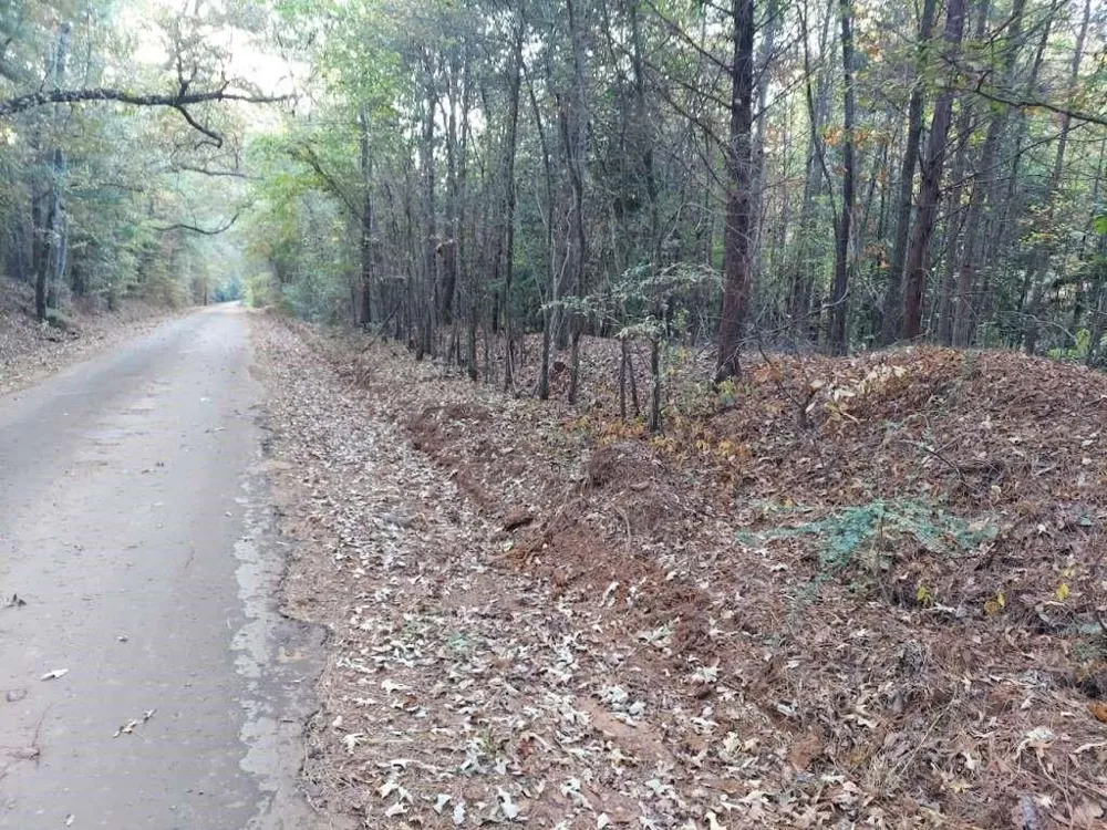 County Road 1587 Tr 3a Avinger, TX 0