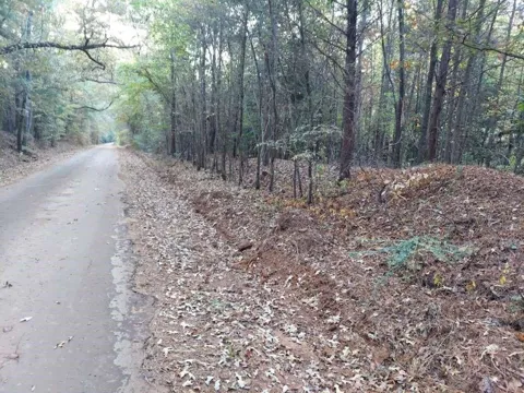 County Road 1587 Tr 3a