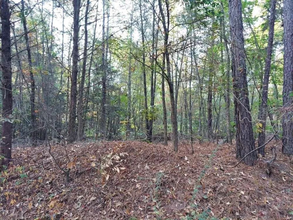 County Road 1587 Tr 3a Avinger, TX 0