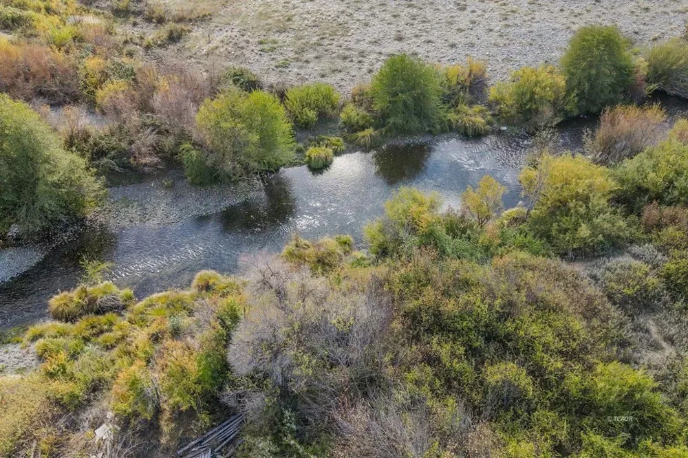 1095 Hyampom Rd Hayfork, CA 96041