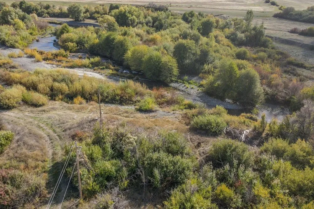 1095 Hyampom Rd Hayfork, CA 96041