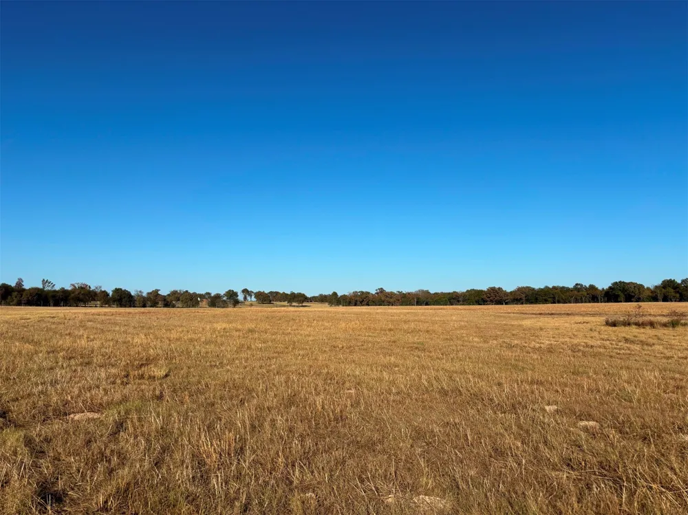 FM 1653 Ben Wheeler, TX 75754