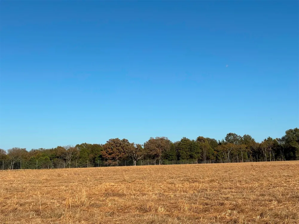 FM 1653 Ben Wheeler, TX 75754