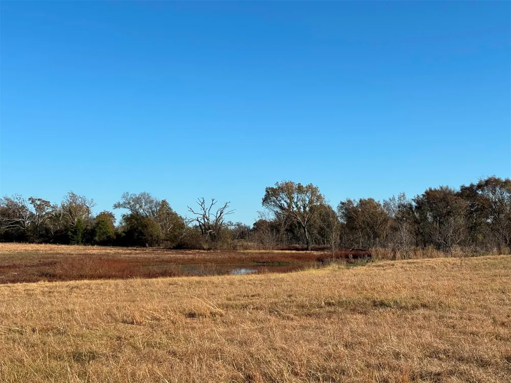FM 1653 Ben Wheeler, TX 75754