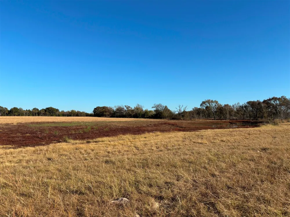 FM 1653 Ben Wheeler, TX 75754