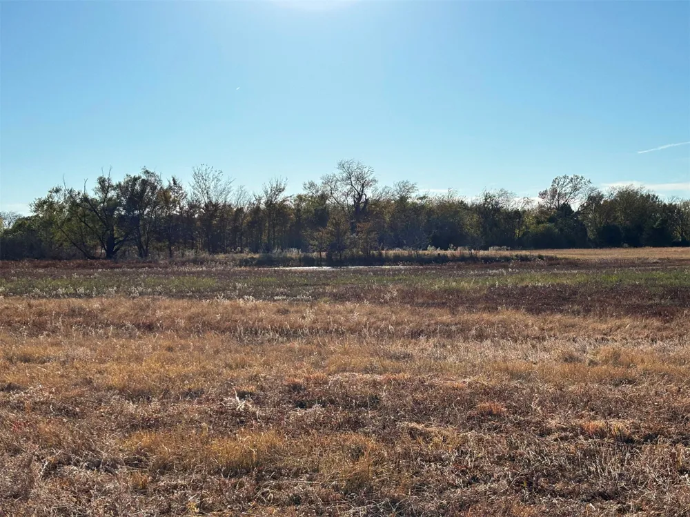 FM 1653 Ben Wheeler, TX 75754