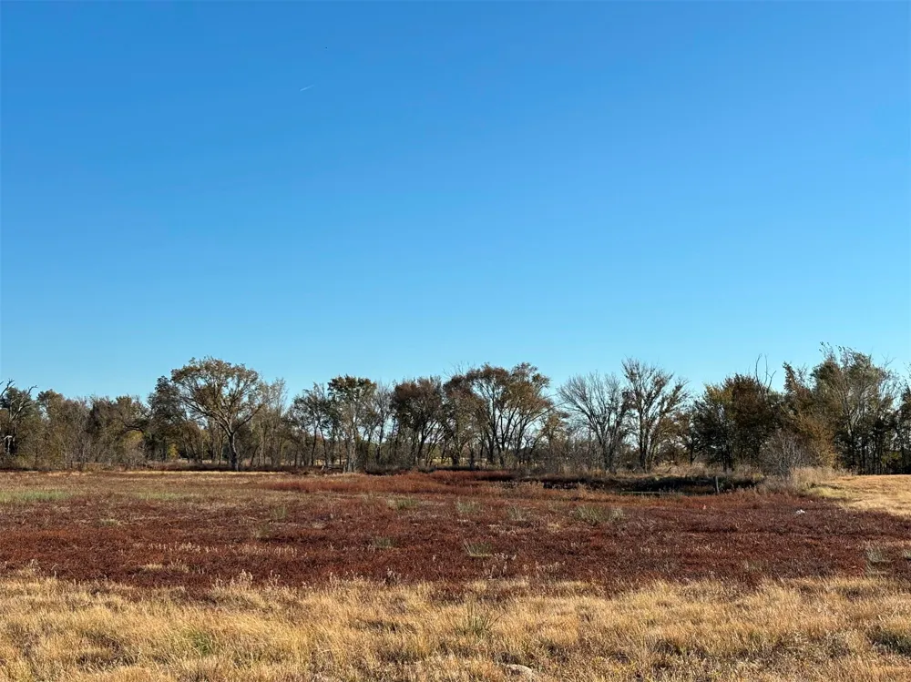 FM 1653 Ben Wheeler, TX 75754
