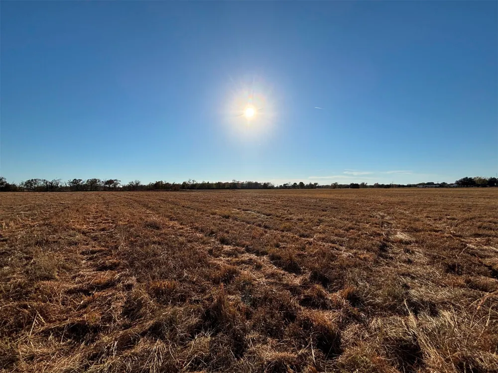 FM 1653 Ben Wheeler, TX 75754