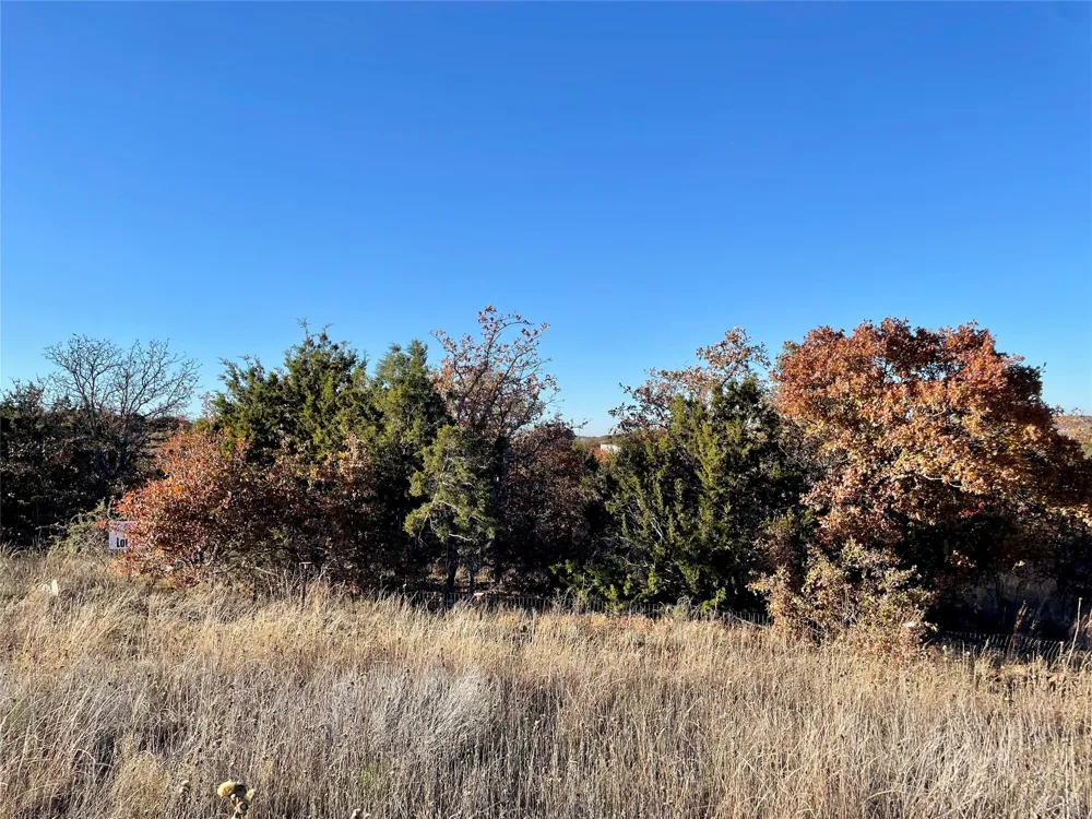 Hidden Shores Drive Cisco, TX 76437