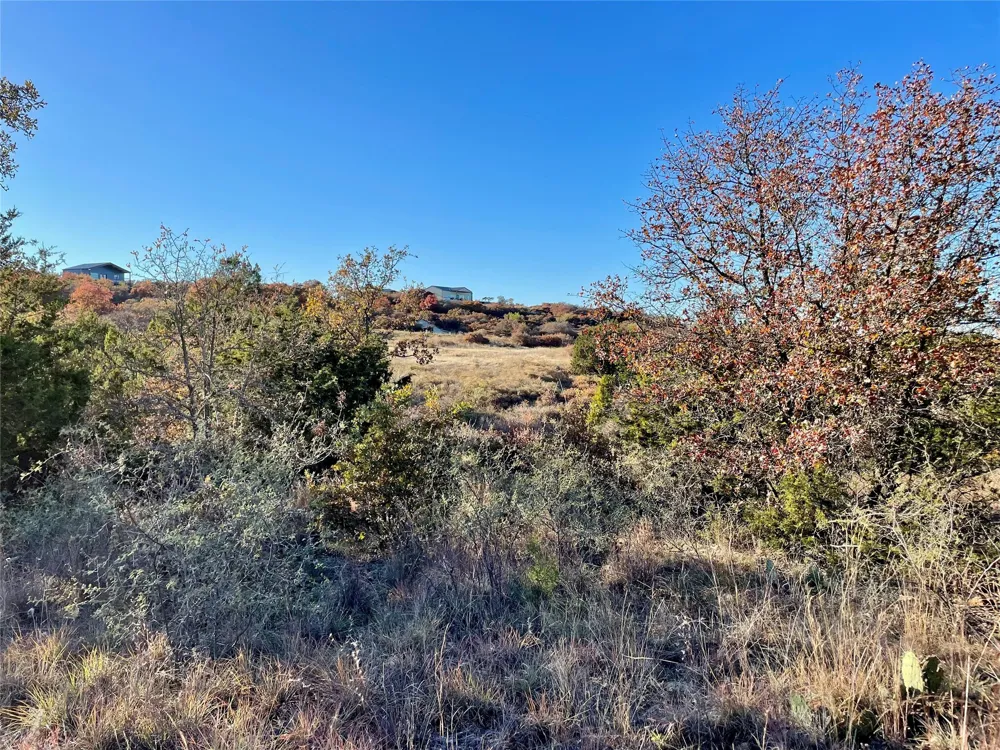 Hidden Shores Drive Cisco, TX 76437