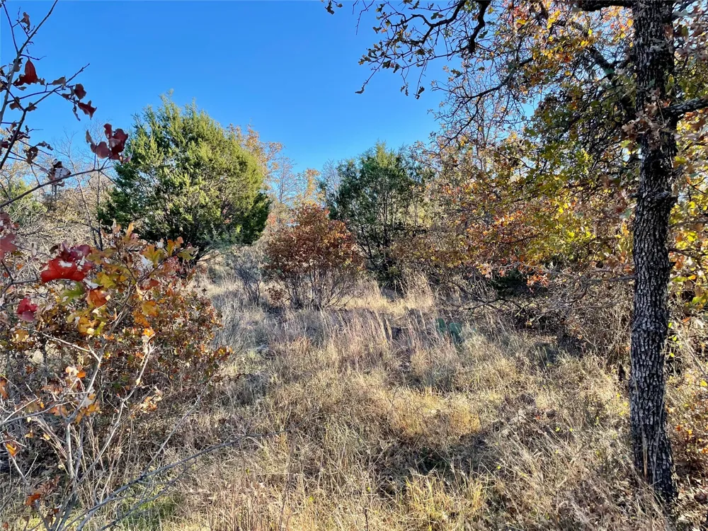 Hidden Shores Drive Cisco, TX 76437