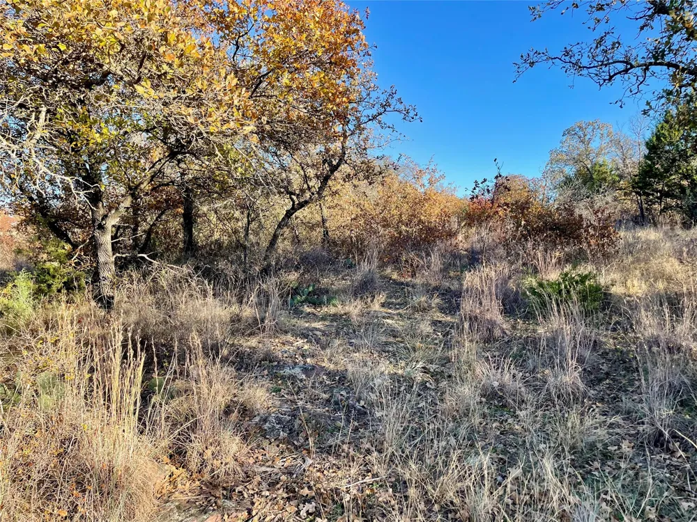 Hidden Shores Drive Cisco, TX 76437