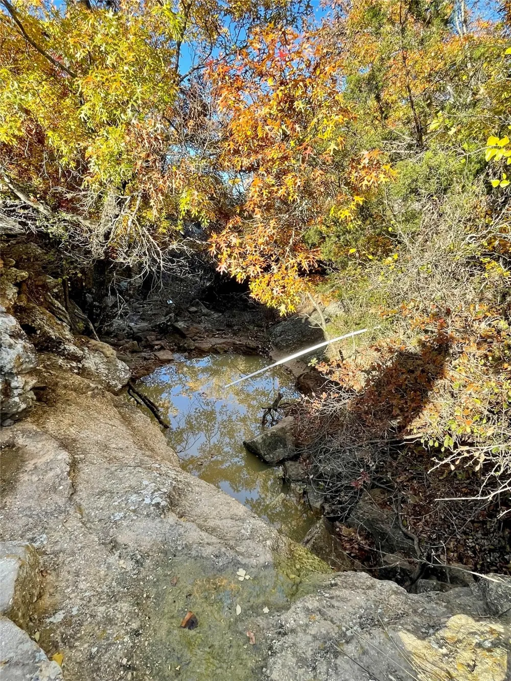 Hidden Shores Drive Cisco, TX 76437