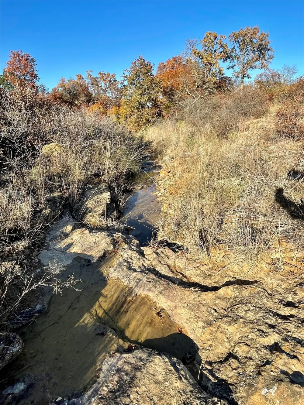 Hidden Shores Drive Cisco, TX 76437