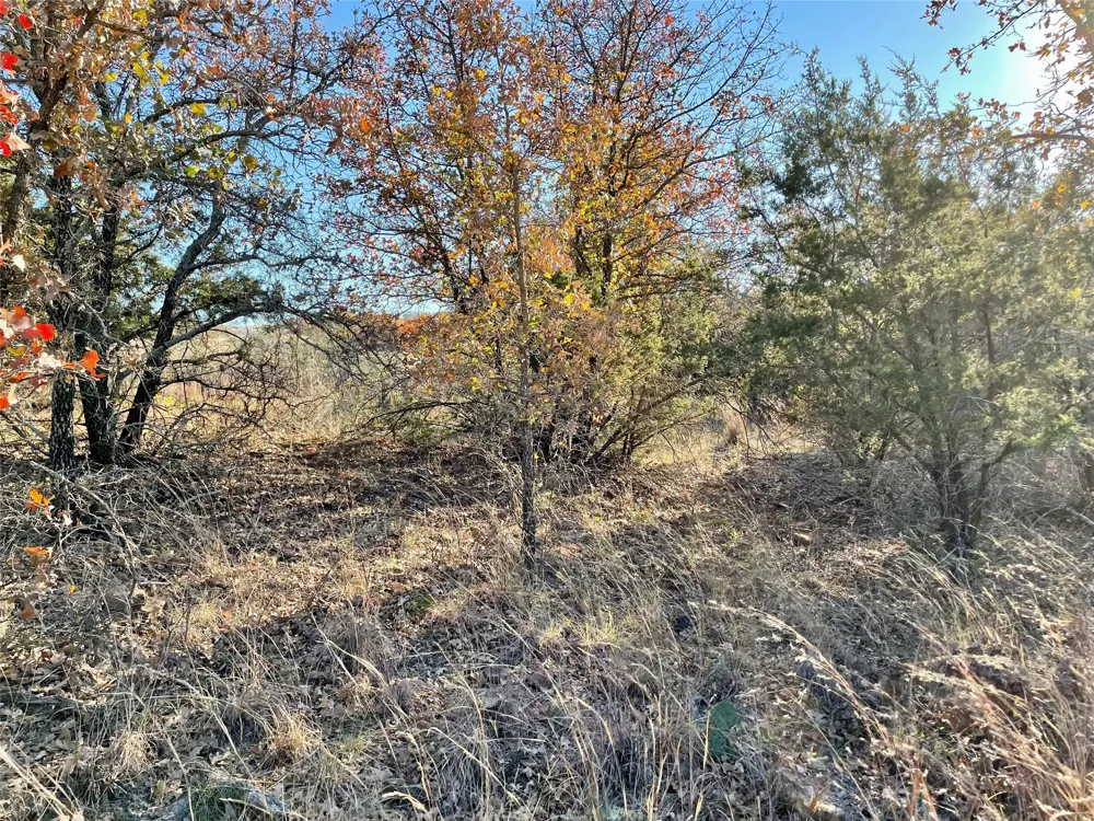 Hidden Shores Drive Cisco, TX 76437