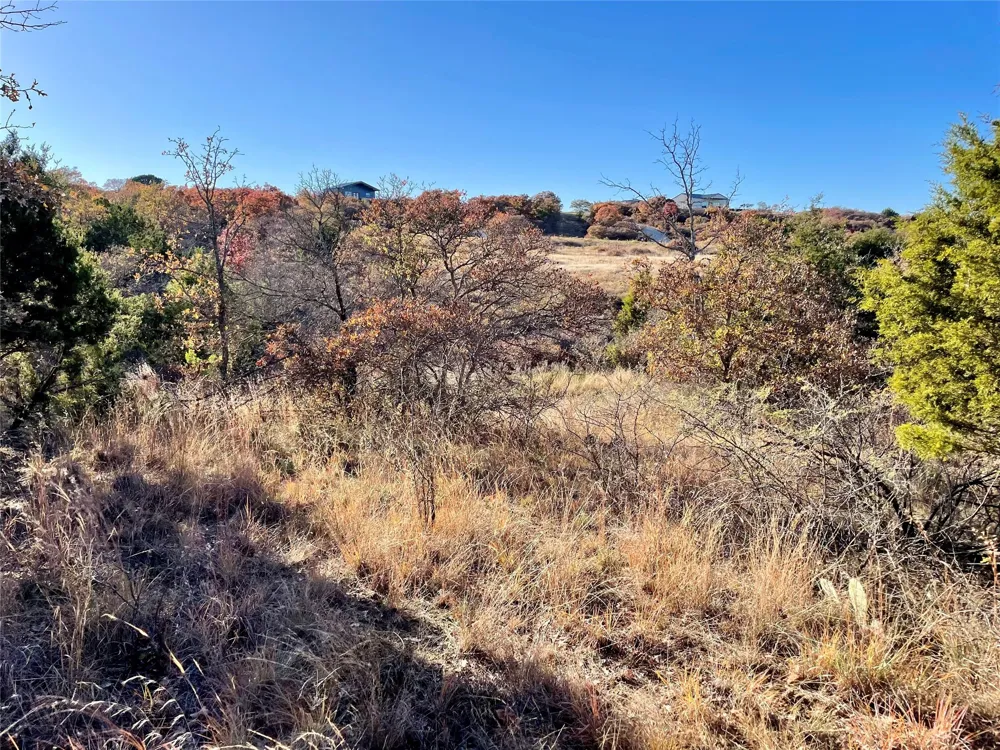 Hidden Shores Drive Cisco, TX 76437