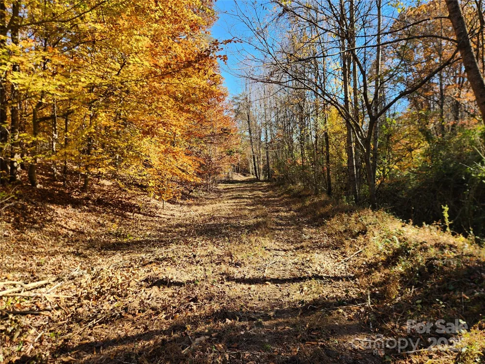 701 Moravian Falls Road Wilkesboro, NC 28697