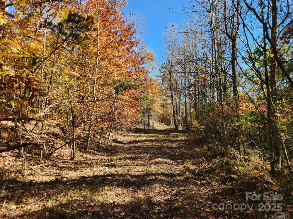 701 Moravian Falls Road Wilkesboro, NC 28697