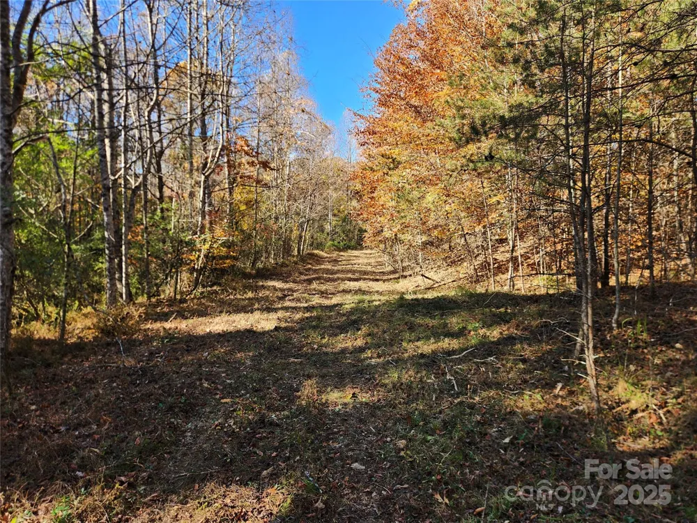 701 Moravian Falls Road Wilkesboro, NC 28697