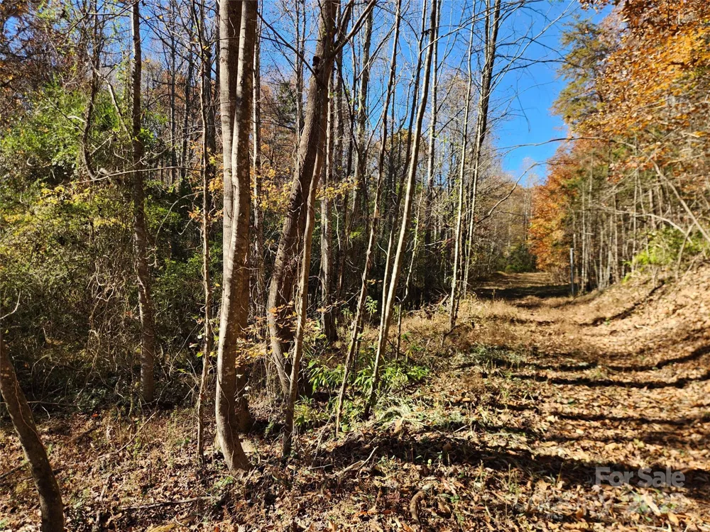 701 Moravian Falls Road Wilkesboro, NC 28697