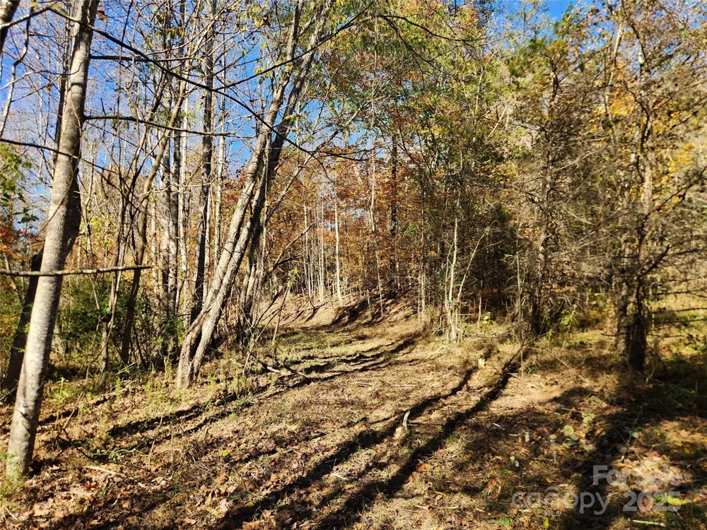 701 Moravian Falls Road Wilkesboro, NC 28697