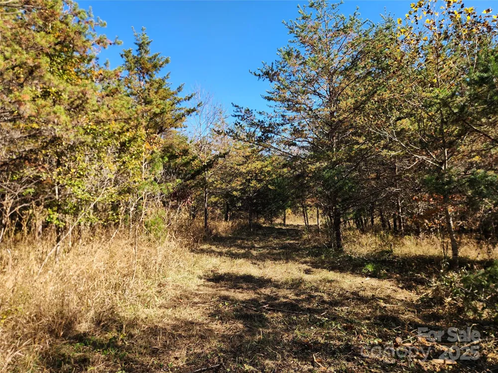 701 Moravian Falls Road Wilkesboro, NC 28697